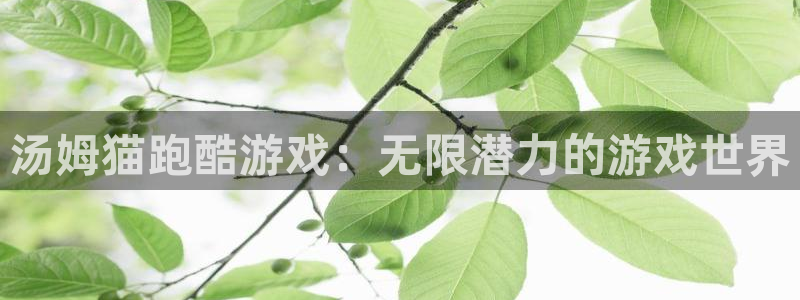尊龙会所是正规的吗